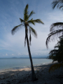 costa-rica Am Strand unter Palmen
