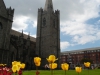 St. Patrick`s Cathedral