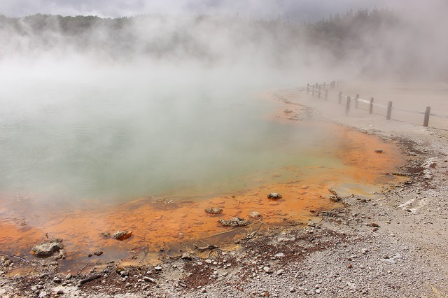 Champagne Pool