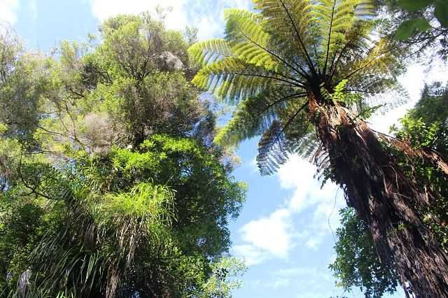 Abel-Tasman Nationalpark