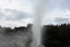 Lady-Knox-Geysir